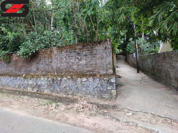 Buy house plot in Palakkad, Kerala