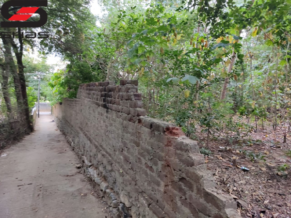 Buy house plot in Palakkad, Kerala
