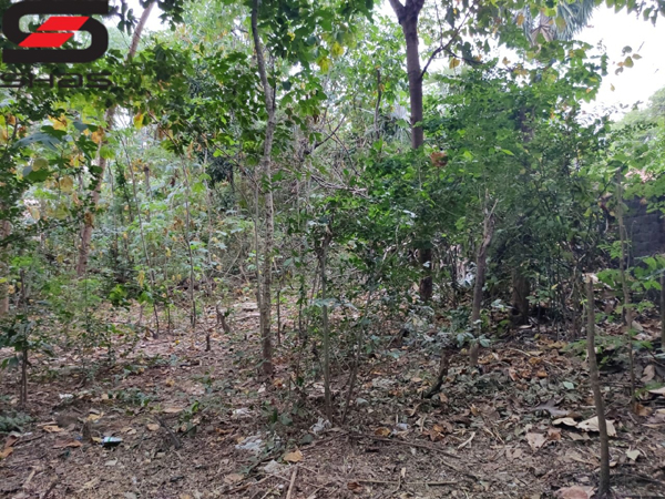 Buy house plot in Palakkad, Kerala
