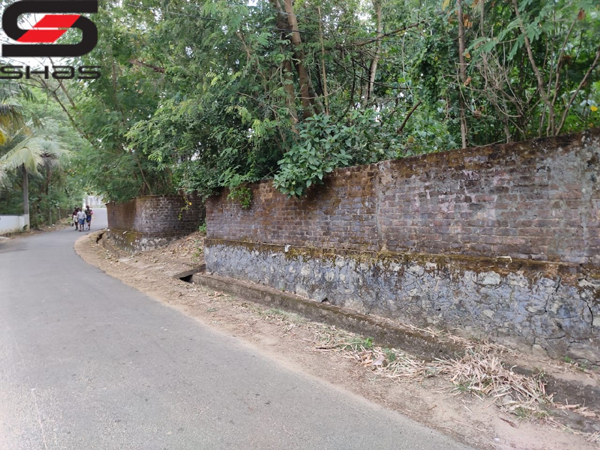 Buy house plot in Palakkad, Kerala
