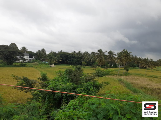 17 Cent house plot for sale in Kannanur, Palakkad