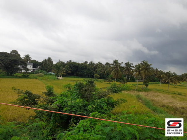 17 Cent house plot for sale in Kannanur, Palakkad