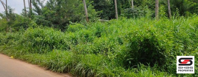 Commercial land for sale in Mepparamba, Palakkad