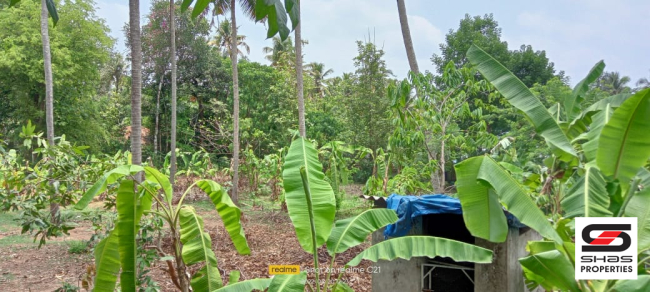 House plot for sale in Koratty, Thrissur