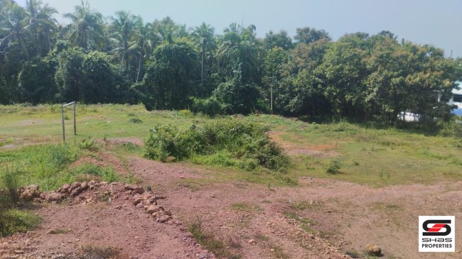 House plots for sale in Thottada, Kannur