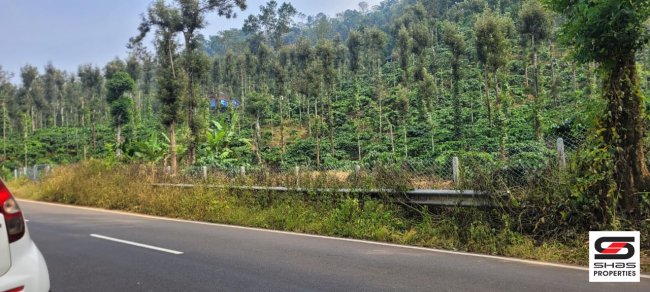 Coffee estate for sale near Meppadi, Wayanad