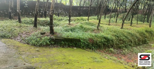 8 Cent Rubber plot for sale in Malayinkeezhu ,Thiruvanathapuram