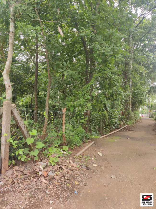 9 Cent house plot for sale in Palappuram, Palakkad