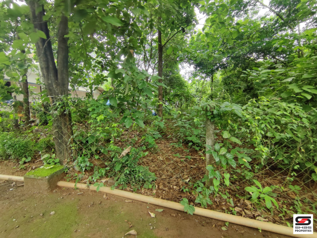 9 Cent house plot for sale in Palappuram, Palakkad