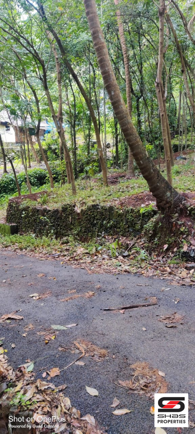 Farmland for sale in Mangode, Kannur