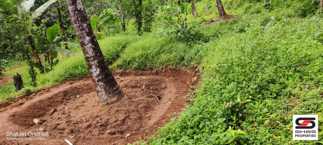 Farmland for sale in Mangode, Kannur