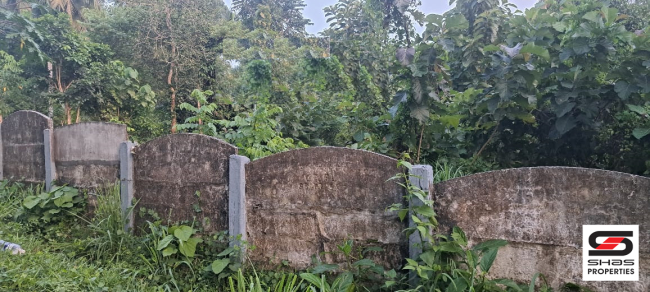 Plot for sale in Cherpulassery, Palakkad
