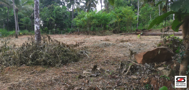 Residential land for sale in Perinthalmanna, Malappuram