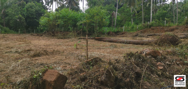 Residential land for sale in Perinthalmanna, Malappuram