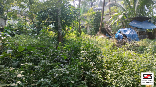 11 Cent house plot for sale in Chala, Kannur