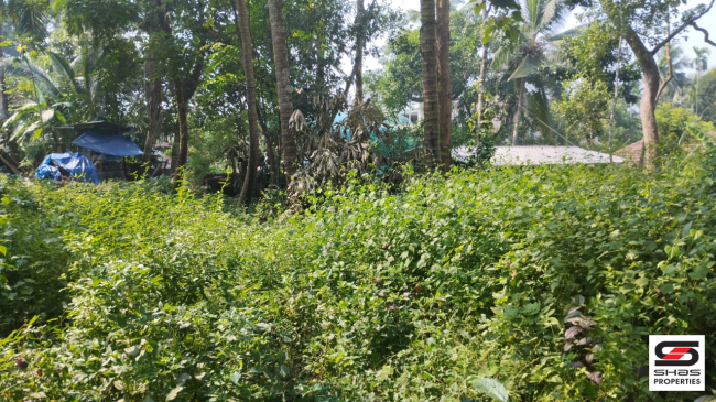 11 Cent house plot for sale in Chala, Kannur