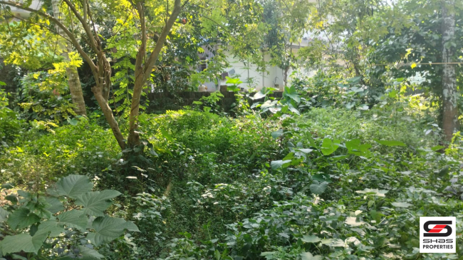 11 Cent house plot for sale in Chala, Kannur