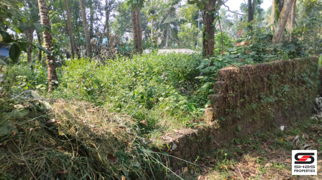 11 Cent house plot for sale in Chala, Kannur
