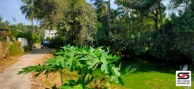 House  plot for sale in Kannanur, Palakkad