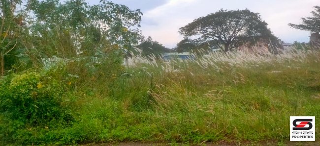 Commercial plot for sale in Mepparamba, Palakkad