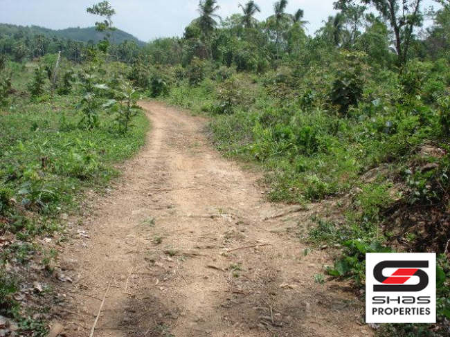 Land with traditional house for sale in Kerala