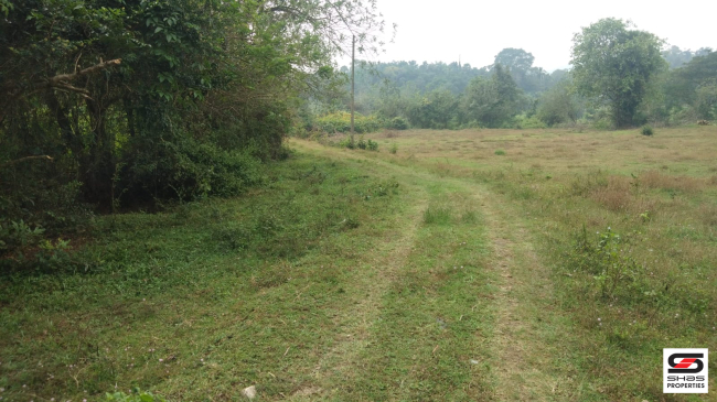 Land with traditional house for sale in Kerala