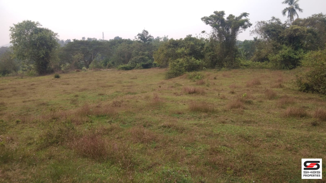 Land with traditional house for sale in Kerala