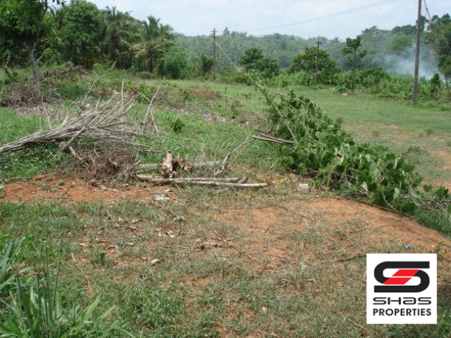 Land with traditional house for sale in Kerala