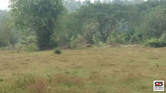 Land with traditional house for sale in Kerala