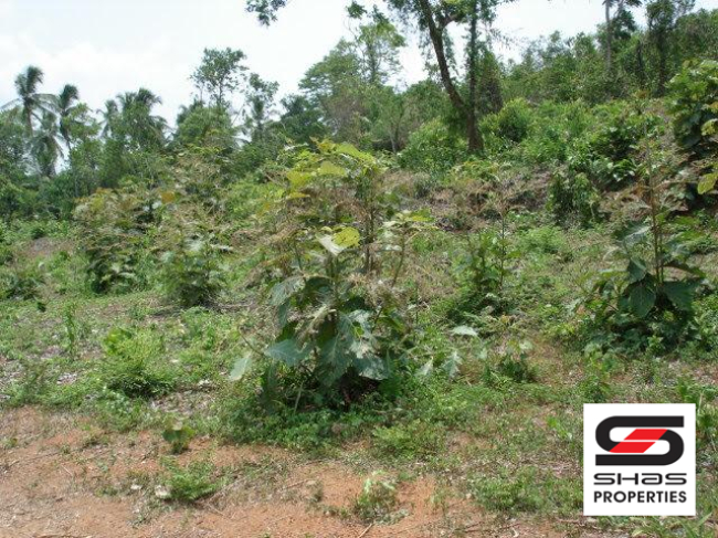 Land with traditional house for sale in Kerala