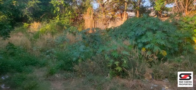 Land for sale in Mepparamba, Palakkad