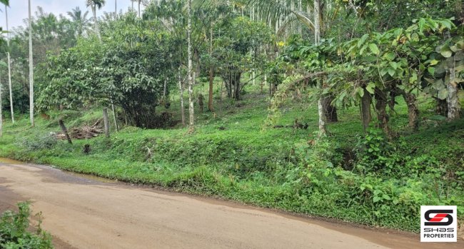 Residential land for sale in Nadavayal, Wayanad
