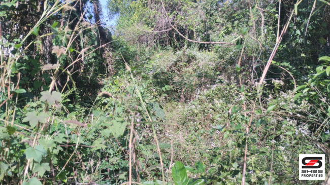 Residential plot for sale in Chala, Kannur
