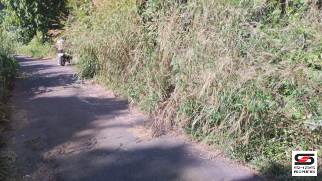 Residential plot for sale in Chala, Kannur