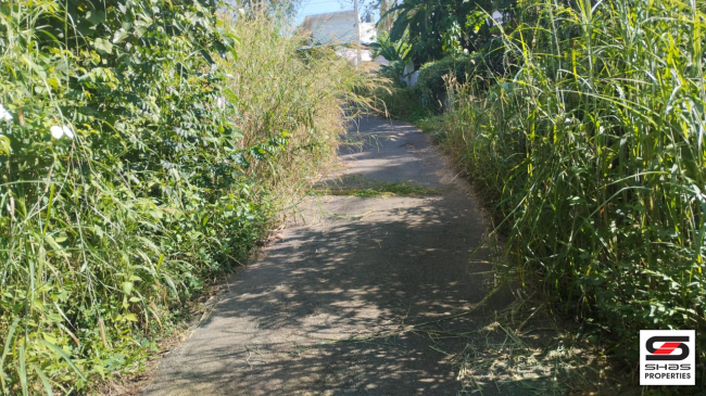 Residential plot for sale in Chala, Kannur