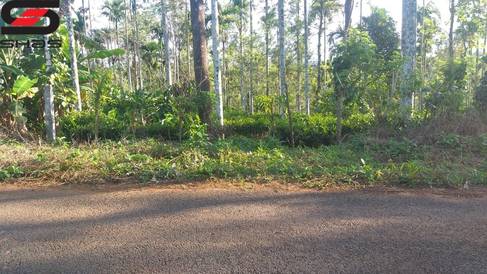 3 acre Tea estate for sale in Sulthan Bathery, Wayanad