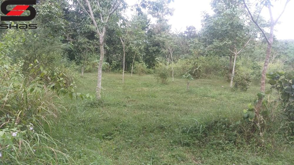 5 acre agricultural land for sale in Wayanad, Pulpally