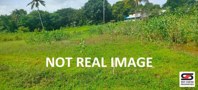 Commercial plot for sale in Palakkad Town