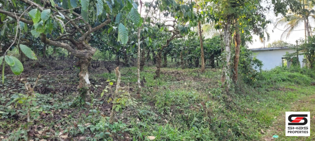 House plots for sale in Vythiri, Wayanad