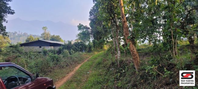 House plots for sale in Vythiri, Wayanad