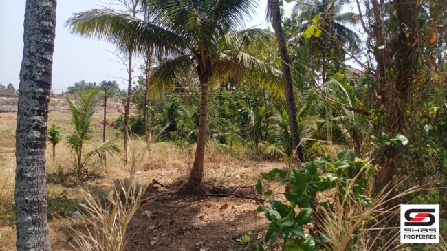 Land for sale in Elappully, Palakkad