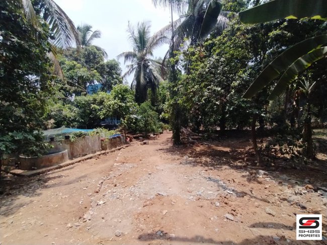 Plot in Olavakkode, Palakkad for sale