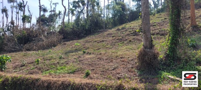 Land for sale in Kalpetta, Wayanad