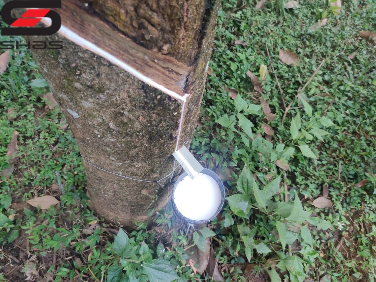 4 acre agricultural or farmland for sale in Palakkad