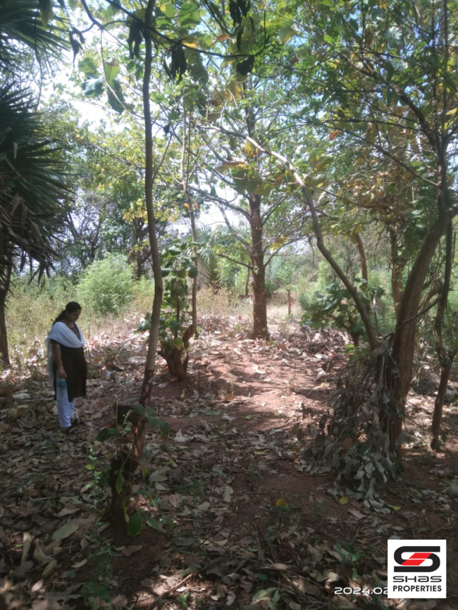 7 Cent house plot for sale in Walayar, Palakkad