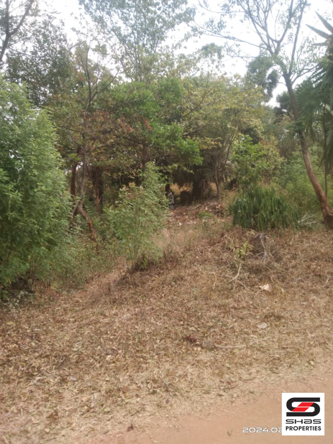 7 Cent house plot for sale in Walayar, Palakkad