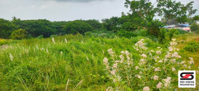 Commercial plot for sale in Palakkad Town