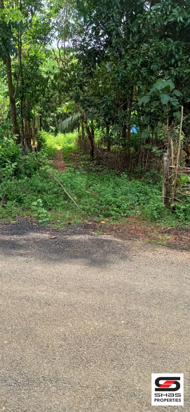 House plot for sale Mankara, Palakkad