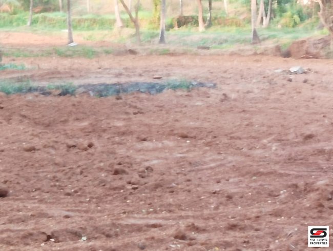 House plots in Chittur, Palakkad for sale 