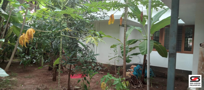 4 BHK house for sale in Wadakkanchery, Thrissur